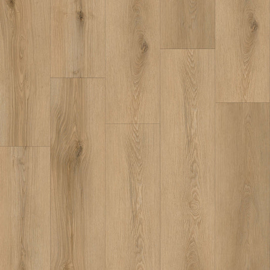 TAIGA - HydroXpert Collection - Hazelnut