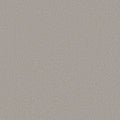 Shaw Floors - Carpet - Classics Collection  - Awaken Spirit I 12' - Hazy Sky