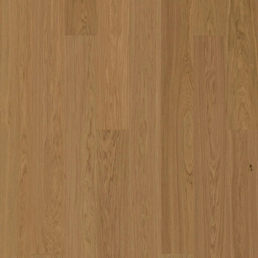 BJELIN - WOODURA - NATURE COLLECTION - XL FORMAT - OAK - HONEY