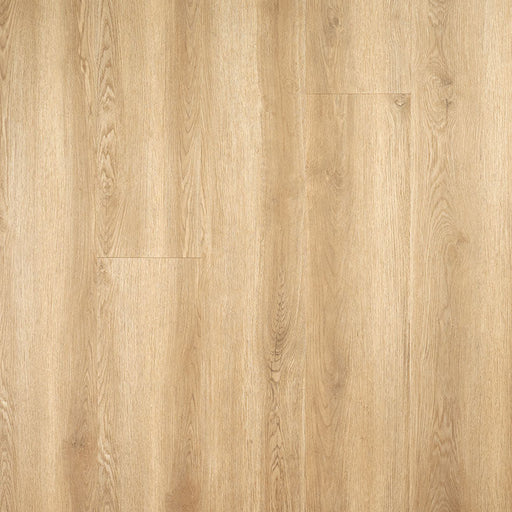 MSI Surfaces - Laurel Reserve Collection - Hyde Haven