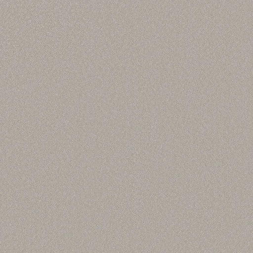 Shaw Floors - Carpet - Classics Collection  - Awaken Spirit I 12' - Ice Cube