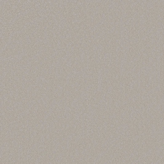 Shaw Floors - Carpet - Classics Collection  - Awaken Spirit I 12' - Ice Cube