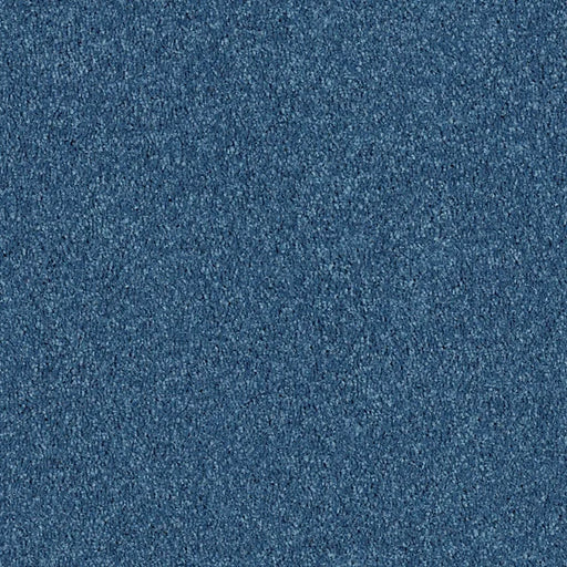 Shaw Floors - Carpet - Full Court 12' - Indigo
