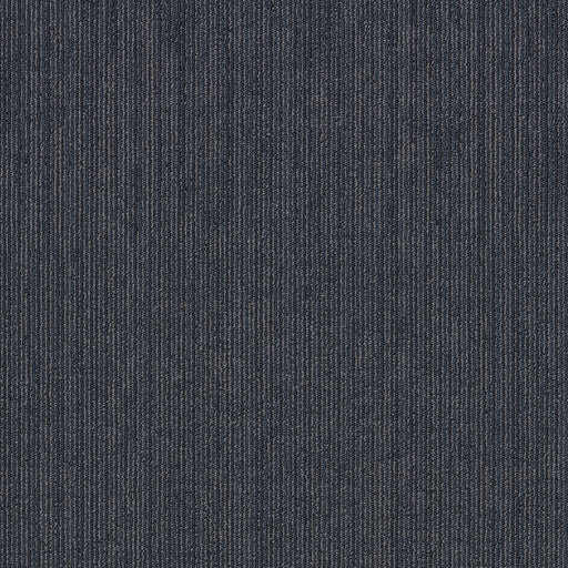 Shaw Floors - 5th & Main Carpet - Native Collection - INNATE