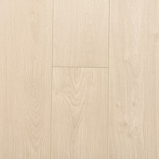 Gentlewalker - Laminate Collection - Palm Bay