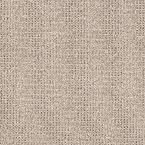 Shaw Floors - Carpet - Foundations Collection - Faint Intent - Sun Kissed