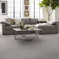 Shaw Floors - Carpet- Foundations Collection - Lady In Gray