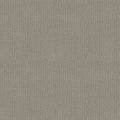 Shaw Floors - Carpet- Foundations Collection - Lady In Gray