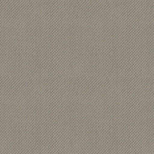 Shaw Floors - Carpet- Foundations Collection - Lady In Gray