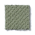 Shaw Floors - Carpet- Foundations Collection - Lush Garden