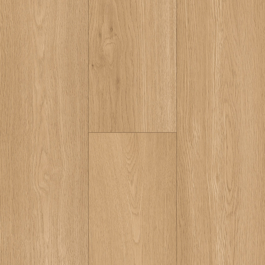 InHaus - Ceramin® - Icon Collection - Lansdowne