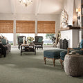 Shaw Floors - Carpet- Foundations Collection - Mocha