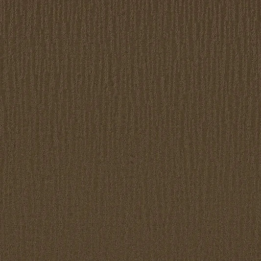 Shaw Floors - Carpet - Simply The Best Collection - Bandon Dunes - Mocha Chip