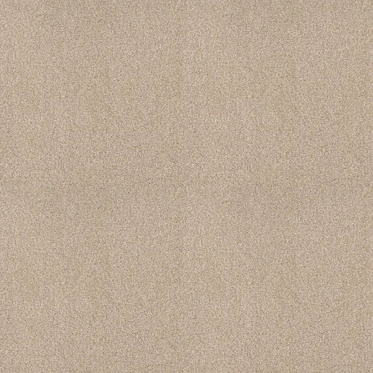 Shaw Floors - Carpet - COMFORTING II - Mesa
