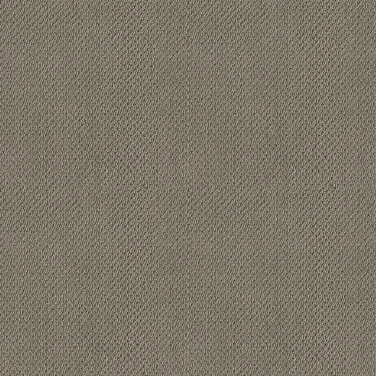 Shaw Floors - Carpet- Foundations Collection - Mocha