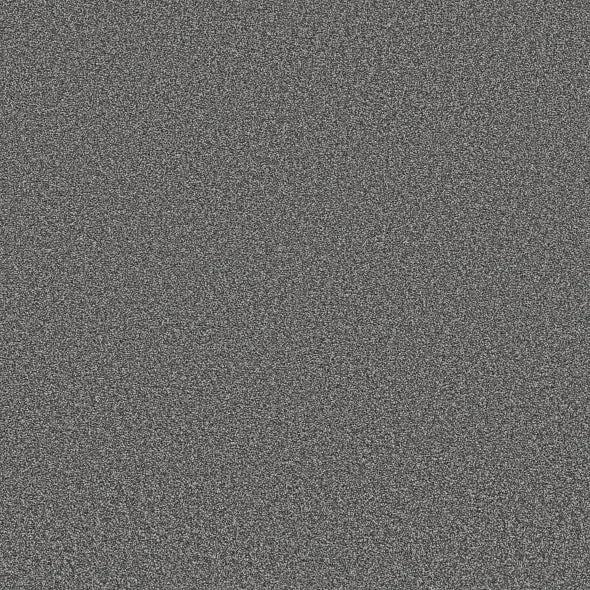 Shaw Floors - Carpet - Simply The Best  - TRUSOLUTIONS III - Mercury