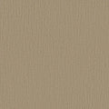 Shaw Floors - Carpet - Simply The Best Collection - Bandon Dunes - Mushroom