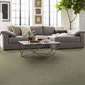 Shaw Floors - Carpet- Foundations Collection - Mocha