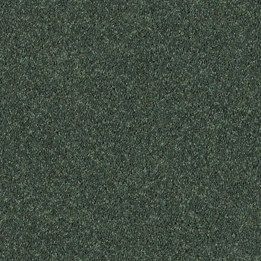 Shaw Floors - Carpet - Full Court 12' - Going Green