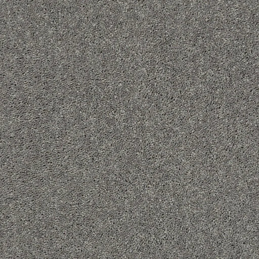 Shaw Floors - Carpet - Full Court 12' - Ink Spot