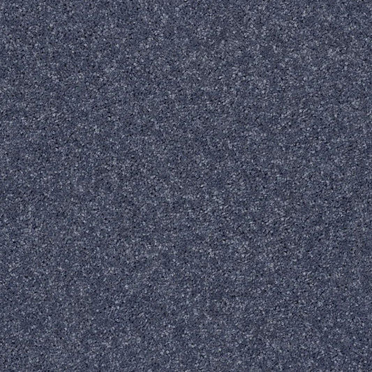 Shaw Floors - Carpet - Full Court 12' - Charcoal