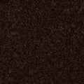 Shaw Floors - Carpet - Full Court 12' - Coffee Bean