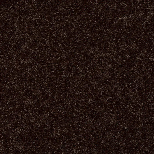 Shaw Floors - Carpet - Full Court 12' - Coffee Bean