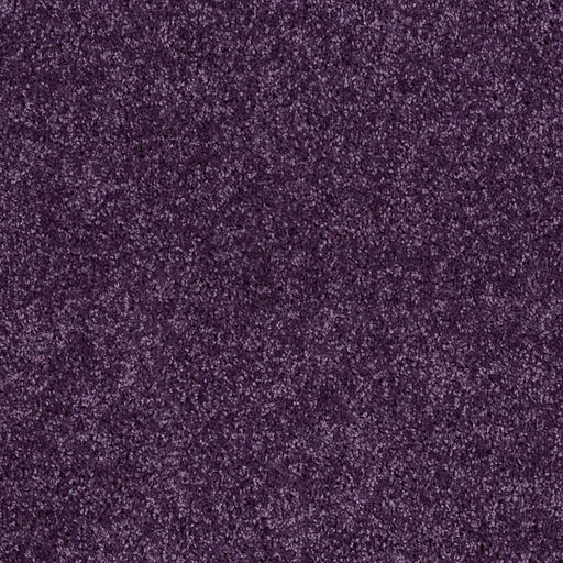 Shaw Floors - Carpet - Full Court 12' - Grape Slushy