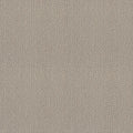 Shaw Floors - Carpet- Foundations Collection - Smart Thinking - Mindful