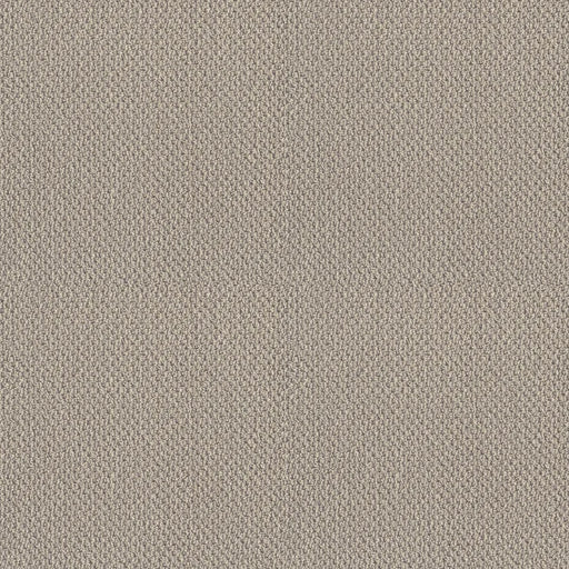 Shaw Floors - Carpet- Foundations Collection - Smart Thinking - Mindful