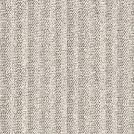 Shaw Floors - Carpet- Foundations Collection - Naturalistic - Winters Dawn