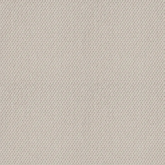 Shaw Floors - Carpet- Foundations Collection - Naturalistic - Winters Dawn
