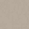 Shaw Floors - Carpet- Foundations Collection - HARMONIOUS III - Split Sediment