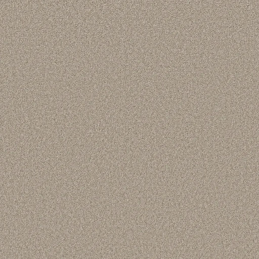 Shaw Floors - Carpet- Foundations Collection - HARMONIOUS III - Fossil Path