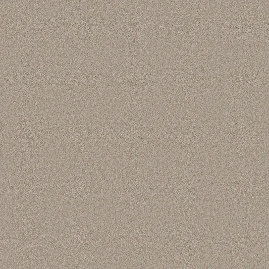 Shaw Floors - Carpet- Foundations Collection - HARMONIOUS III - Fossil Path