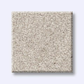 Shaw Floors - Carpet- Foundations Collection - HARMONIOUS III - Gallery Opening