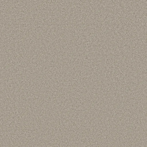 Shaw Floors - Carpet- Foundations Collection - HARMONIOUS III - Baltic Stone