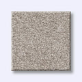 Shaw Floors - Carpet- Foundations Collection - HARMONIOUS III - Baltic Stone