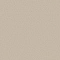 Shaw Floors - Carpet- Foundations Collection - HARMONIOUS III - Champagne Toast
