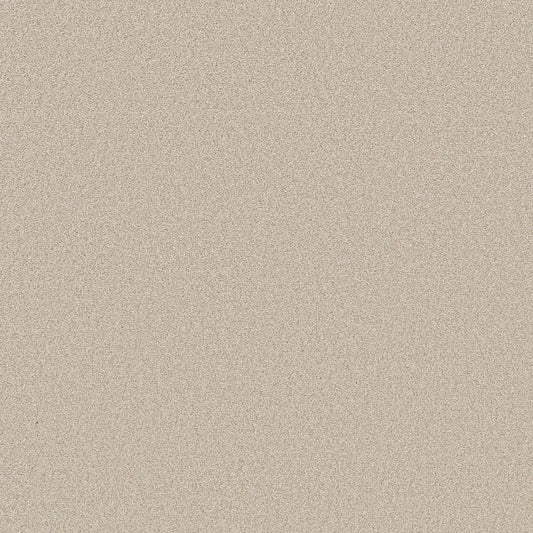 Shaw Floors - Carpet- Foundations Collection - HARMONIOUS III - Champagne Toast