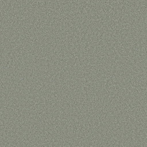 Shaw Floors - Carpet- Foundations Collection - HARMONIOUS III - Water's Edge