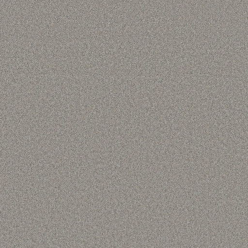 Shaw Floors - Carpet- Foundations Collection - HARMONIOUS III - Grey Fox