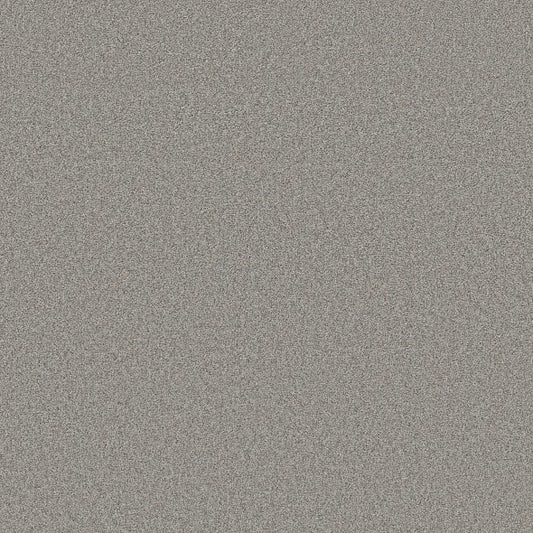 Shaw Floors - Carpet- Foundations Collection - HARMONIOUS III - Grey Fox