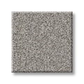 Shaw Floors - Carpet- Foundations Collection - HARMONIOUS III - Grey Fox