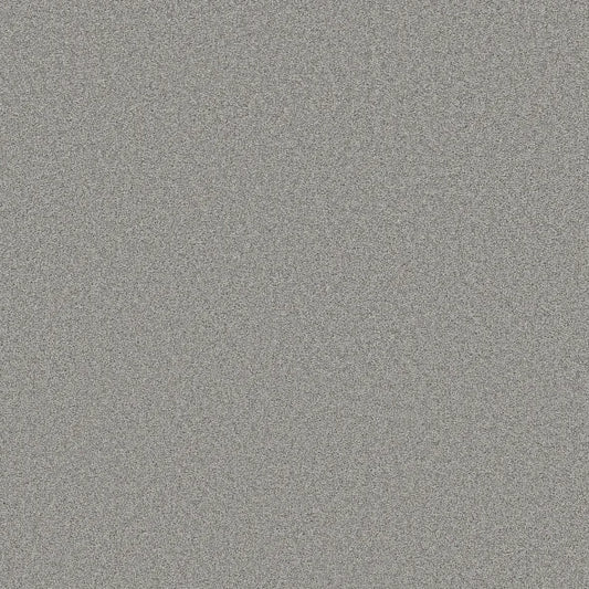 Shaw Floors - Carpet- Foundations Collection - HARMONIOUS III - Sentimental