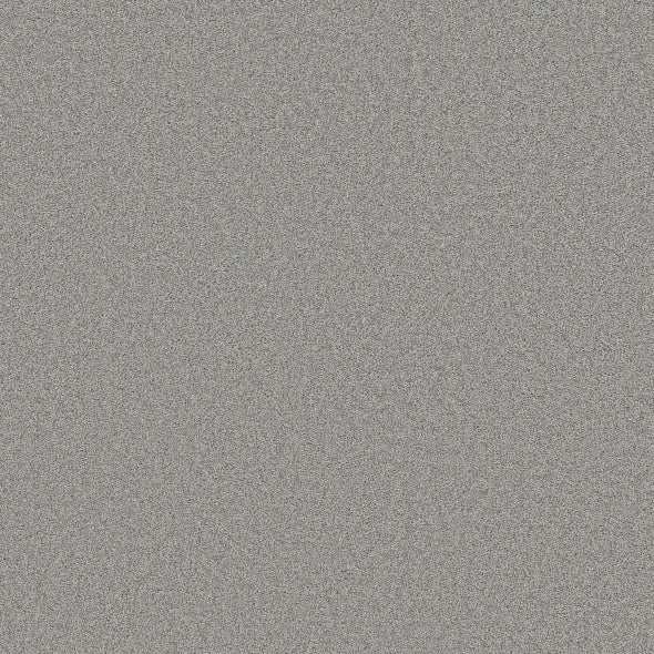 Shaw Floors - Carpet- Foundations Collection - HARMONIOUS III - Sentimental
