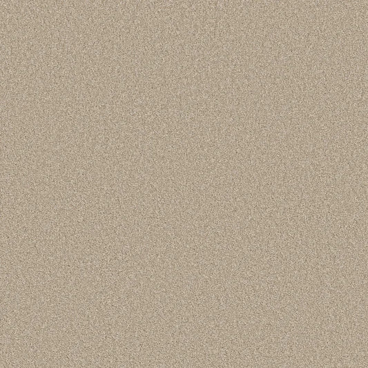 Shaw Floors - Carpet- Foundations Collection - HARMONIOUS III - Sandstone