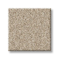 Shaw Floors - Carpet- Foundations Collection - HARMONIOUS III - Sandstone