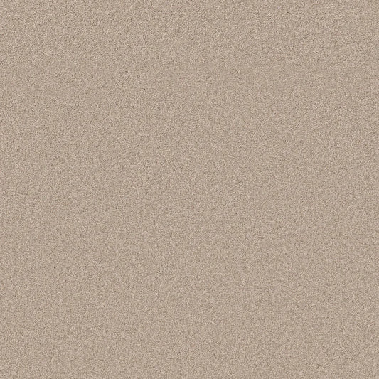 Shaw Floors - Carpet- Foundations Collection - HARMONIOUS III - Heirloom