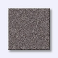 Shaw Floors - Carpet- Foundations Collection - HARMONIOUS III - Deep Connection